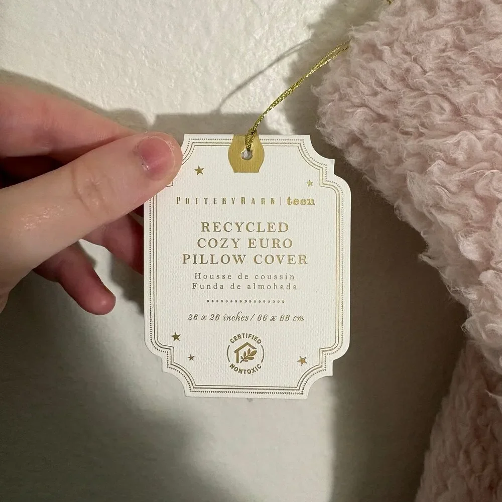 Pottery Barn Teen Cozy Euro Sherpa Pillow Cover NWT 26”x26”